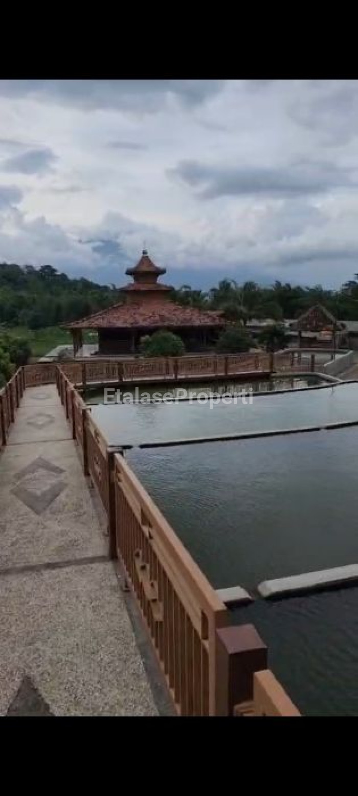 Foto properti JUAL LAHAN  UNTUK PERTERNAKAN & PERTANIAN  BERLOKASI DI PURWODADI, PASURUAN, JAWA TIMUR. 5
