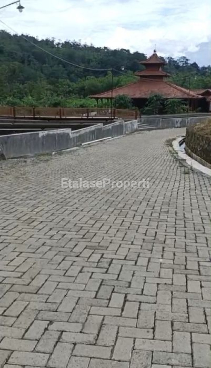 Foto properti JUAL LAHAN  UNTUK PERTERNAKAN & PERTANIAN  BERLOKASI DI PURWODADI, PASURUAN, JAWA TIMUR. 6