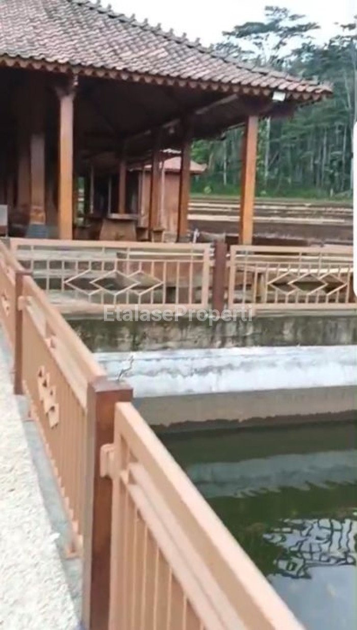 Foto properti JUAL LAHAN  UNTUK PERTERNAKAN & PERTANIAN  BERLOKASI DI PURWODADI, PASURUAN, JAWA TIMUR. 1