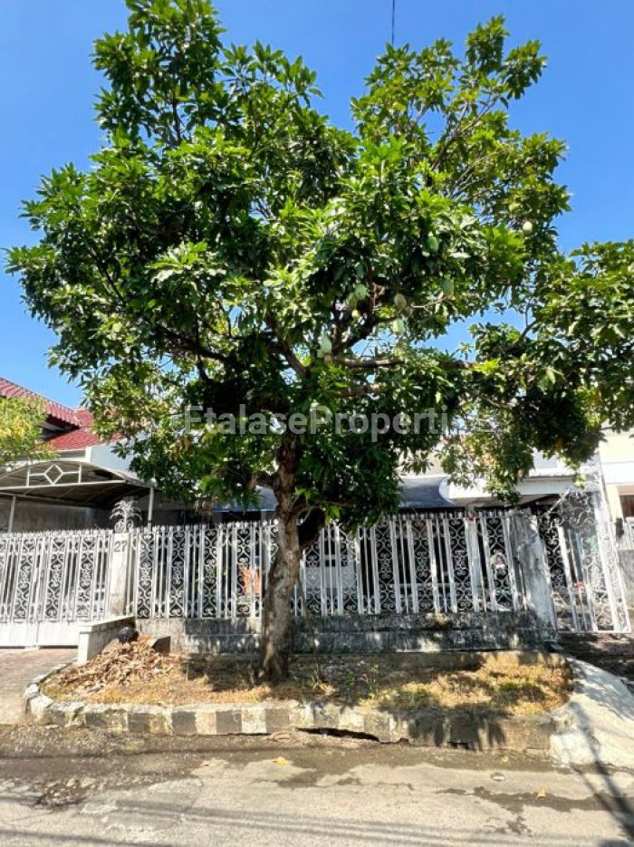 Foto properti *Rumah Dijual Di Darmo Permai Selatan – Lokasi Favorit & Nyaman Dihuni* 1