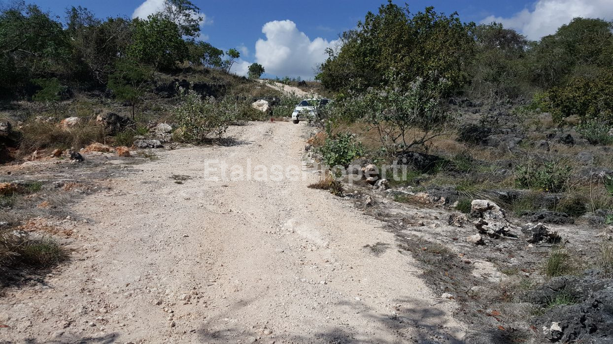 Foto properti DI JUAL CEPAT  TANAH PANTAI DI MAMBORO, SUMBA TENGAH 6