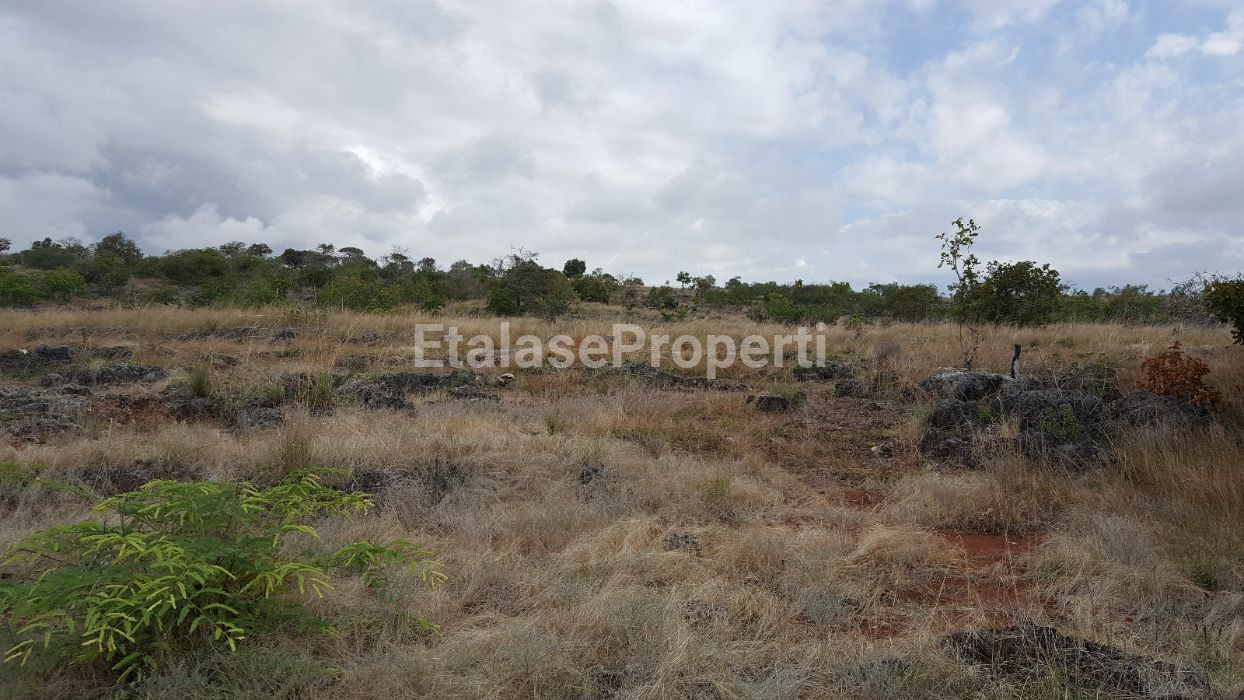 Foto properti DI JUAL CEPAT  TANAH PANTAI DI MAMBORO, SUMBA TENGAH 7