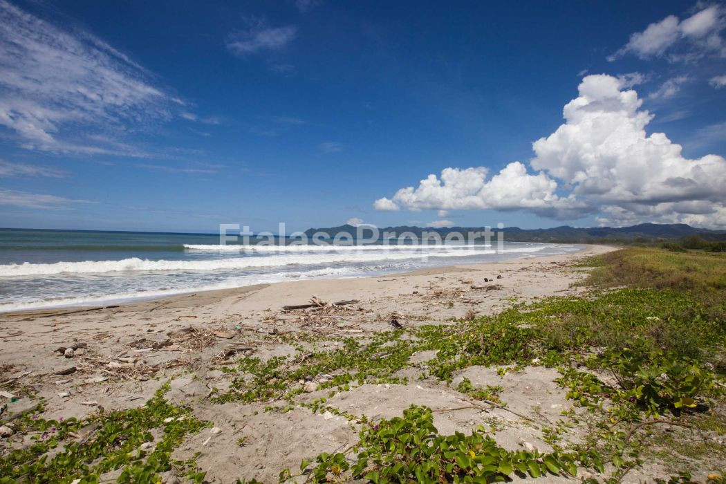 Foto properti LAND FOR SALE KALALA BEACH, WAINGAPU, EAST SUMBA 4
