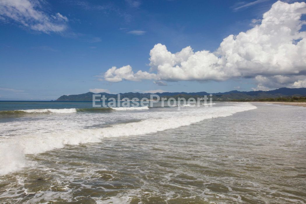 Foto properti LAND FOR SALE KALALA BEACH, WAINGAPU, EAST SUMBA 5