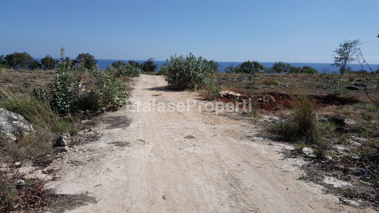 Foto properti JUAL CEPAT TANAH PANTAI Lokasi MAMBORO Sumba Tengah, NTT 1