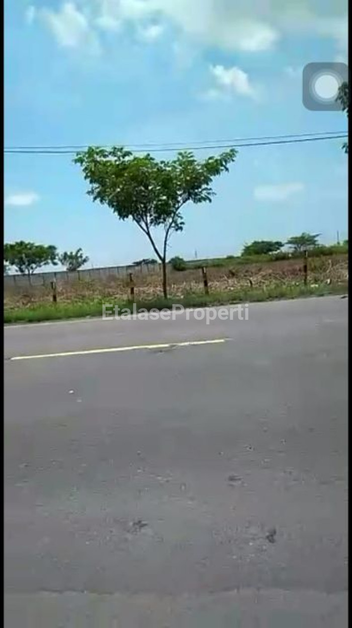 Foto properti DIJUAL TANAH DI TUBAN 2