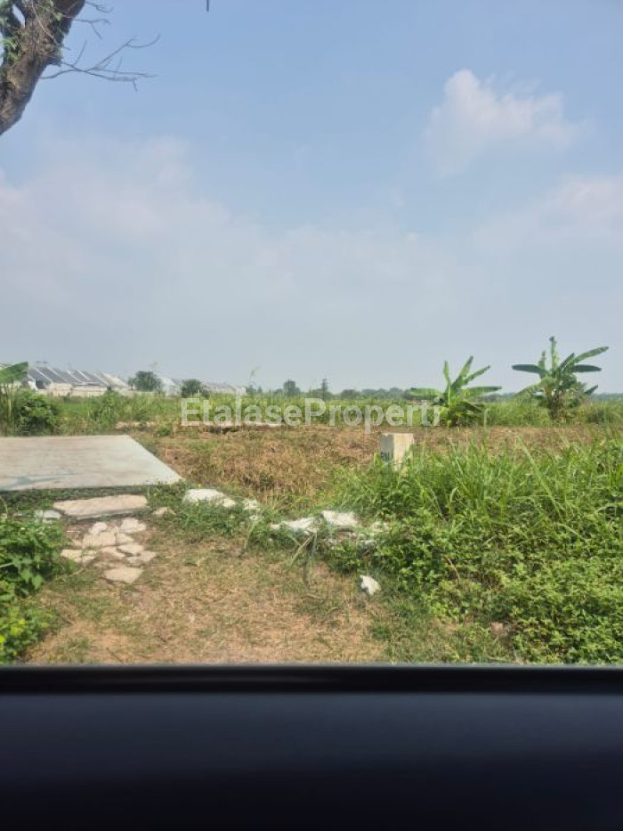Foto properti Dijual Tanah Daerah Dadap Kuning (persis Sebelahnya Perumahan Gresik Kota Mas) 3