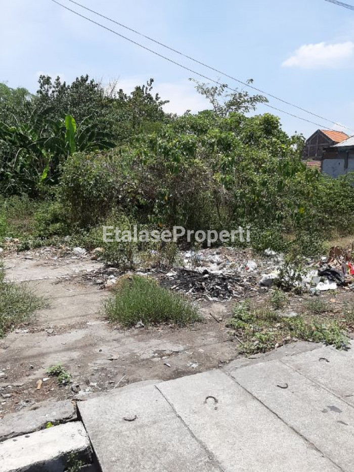 Foto properti Jual Tanah Jalan Jeruk Menganti.. 3