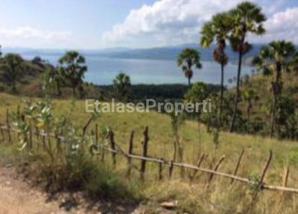 Foto properti Dijual Tanah Waecicu Pulau Komodo, NTT 1