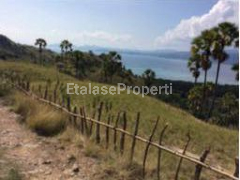 Foto properti Dijual Tanah Waecicu Pulau Komodo, NTT 2