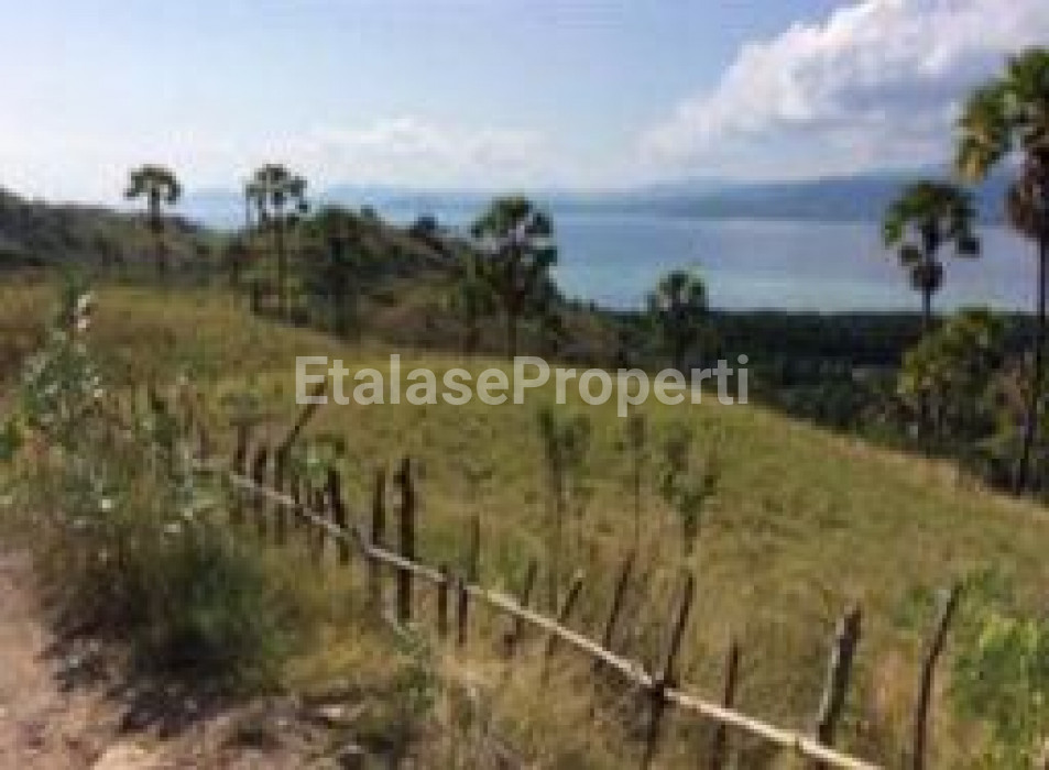 Foto properti Dijual Tanah Waecicu Pulau Komodo, NTT 3