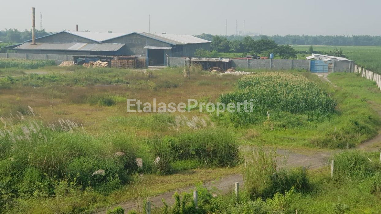 Foto properti Tanah Luas Untuk Industry Di Jetis Mojokerto 3