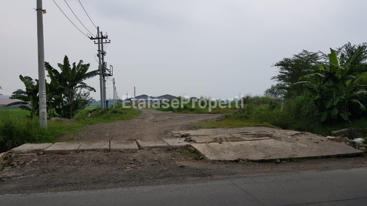 Foto properti Tanah Luas Untuk Industry Di Jetis Mojokerto 1