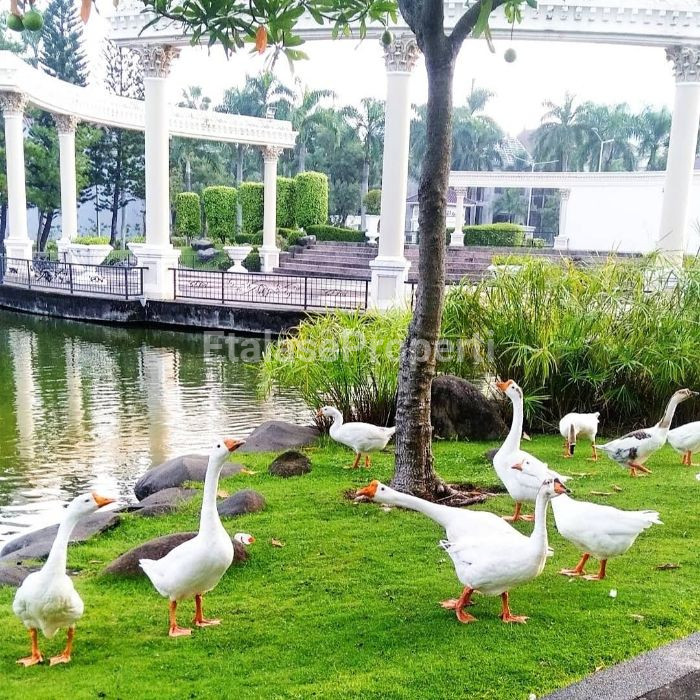 Foto properti Dijual Rumah Inperial Golf Regenci Citraland 1