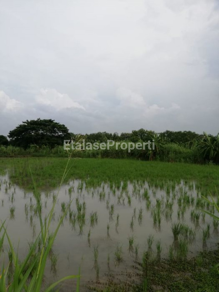 Foto properti Tanah Dijual Di Raya Benjeng 2