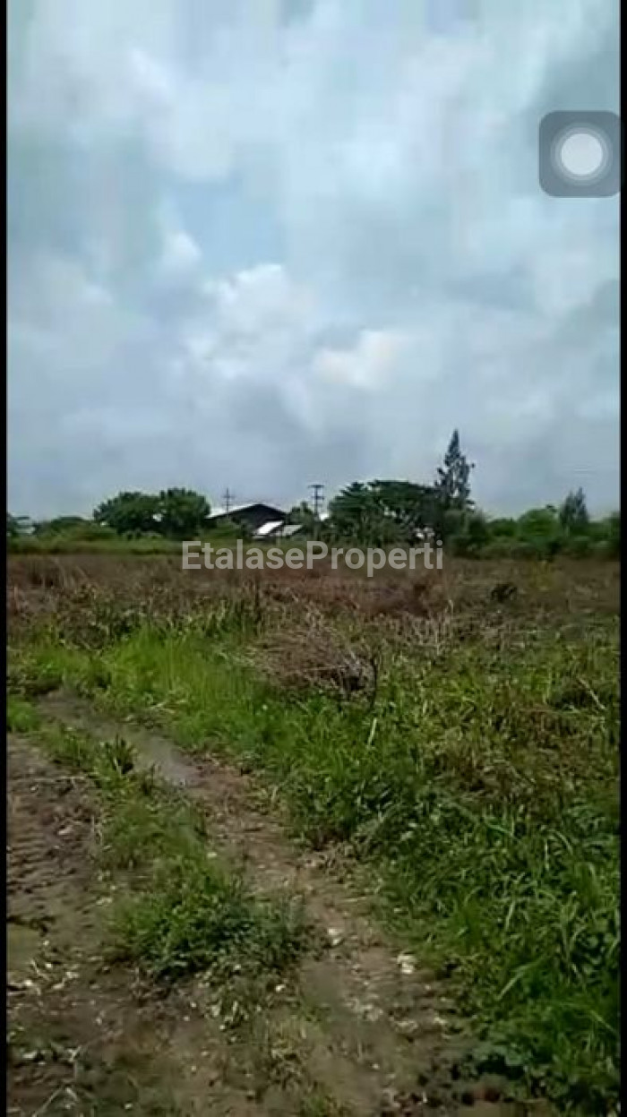 Foto properti Dijual Tanah Zona Industri Jln. Nasional Mrutuk Utara, Widang, Tuban 7