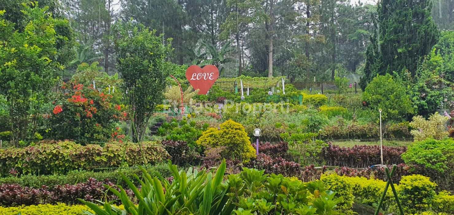 Foto properti Villa Daerah Pegunungan Hawa Sejuk Candi Gedong Songo Di  Bandungan  Semarang 2
