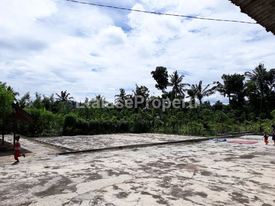 Foto properti Dijual Murah Bekas Perkebunan Kopi Kalibaru Manis Banyuwangi 1