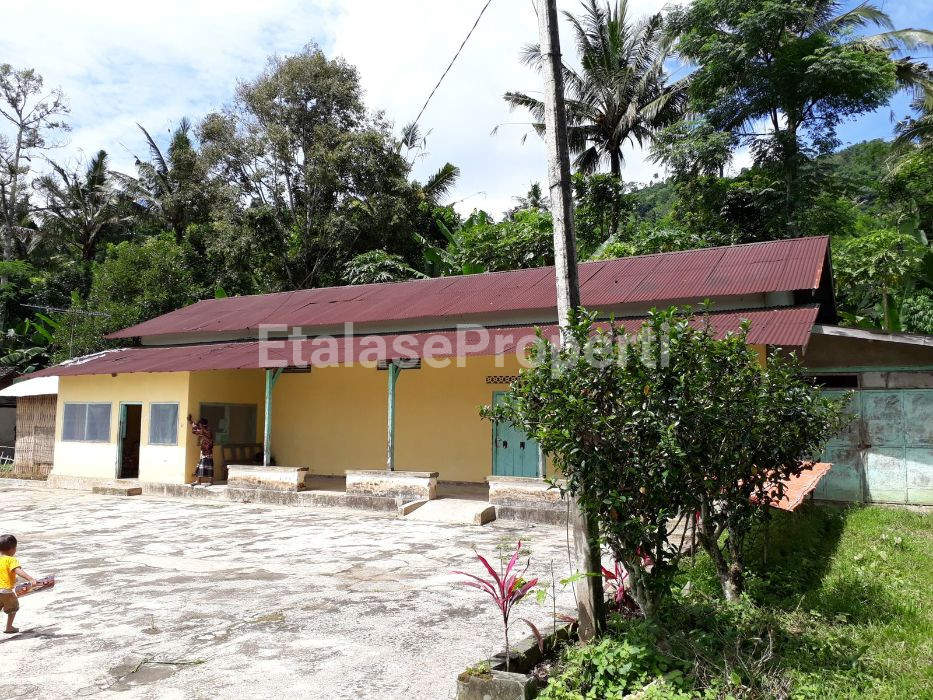 Foto properti Dijual Murah Bekas Perkebunan Kopi Kalibaru Manis Banyuwangi 2
